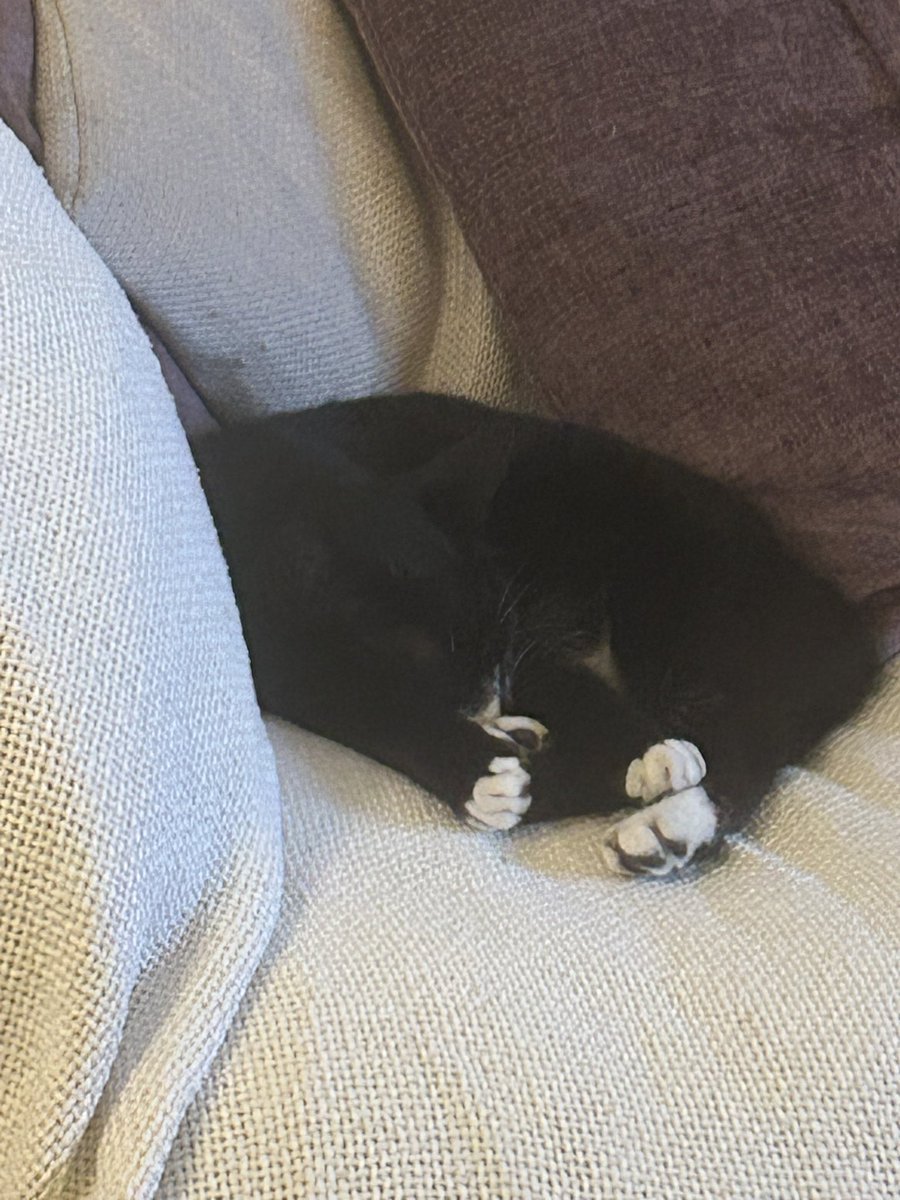 Thunder and lightning stopped - Tuzlas now settling for the evening!