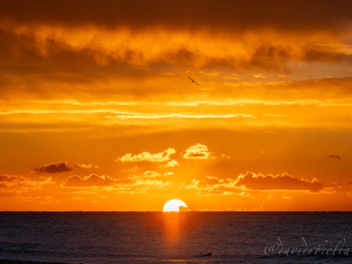 davidrbcelta's tweet image. Albada daurada sobre la mar Mediterrània 🌅
#sunrise #vilanovailageltru #amanecer #davidrbcelta