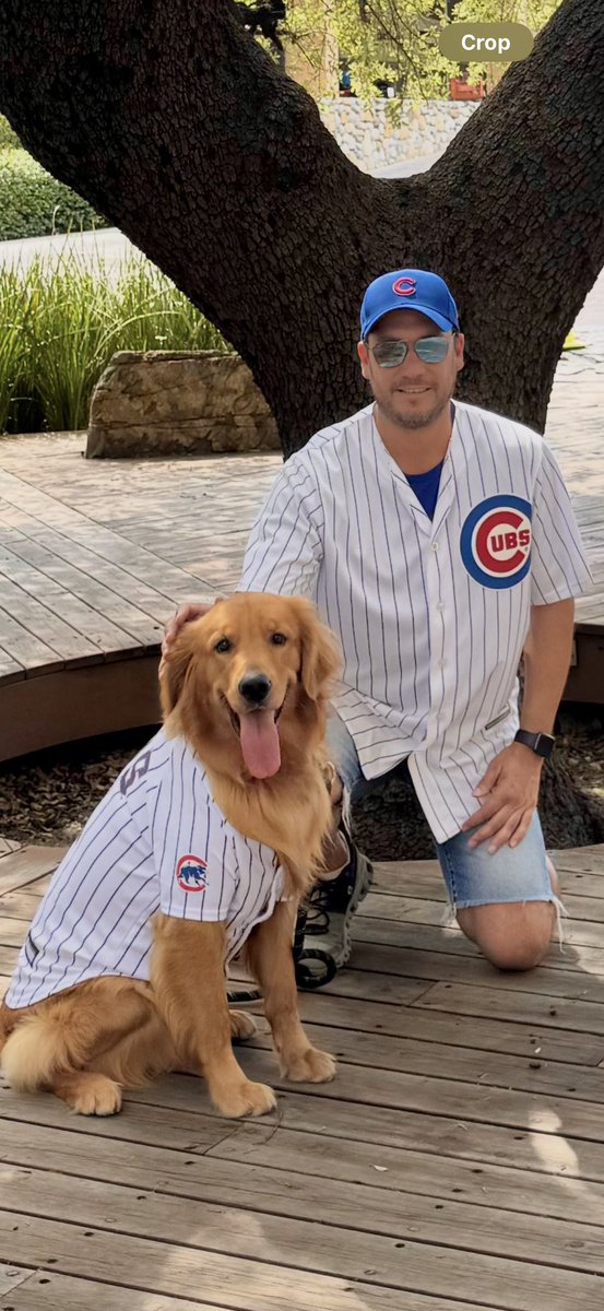 agvignau9's tweet photo. @WatchMarquee @MLBBruceLevine @PAWSChicago We have exactly same Jersey!! They look lovely 🐶 🐾 #-#GoCubsGo https://t.co/sPwkMYiin6