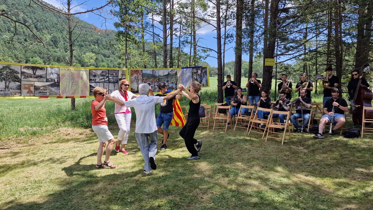 jordi_kanet's tweet image. Avui diada del Pi de les tres branques!
Símbol de fraternitat dels països catalans! Una festa de germanor on fa goig ser-hi i celebrar-la! @ConsellRep @assemblea @omnium @Decidim_ @AssembSmallorcA