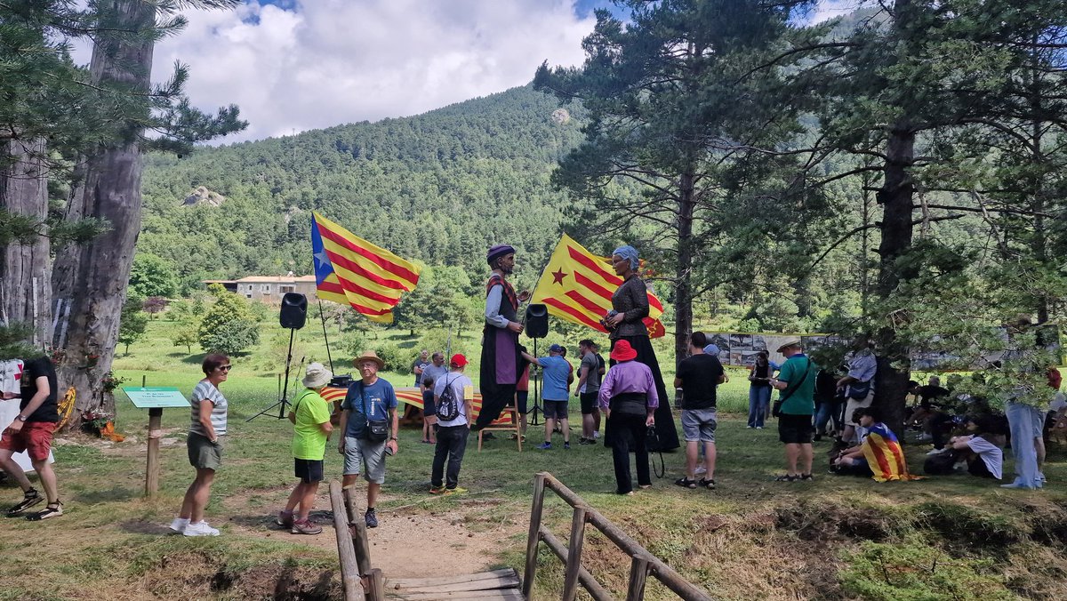 jordi_kanet's tweet image. Avui diada del Pi de les tres branques!
Símbol de fraternitat dels països catalans! Una festa de germanor on fa goig ser-hi i celebrar-la! @ConsellRep @assemblea @omnium @Decidim_ @AssembSmallorcA