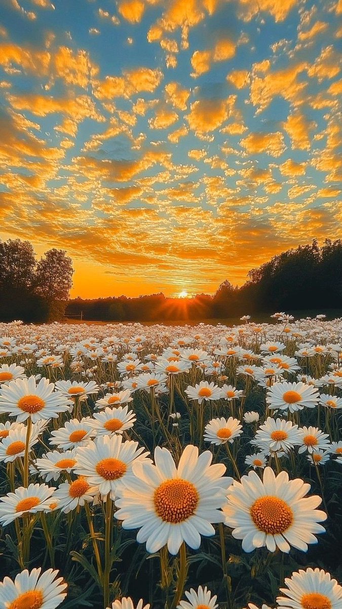 🌙🧡𝕳𝖆𝖛𝖊 𝖆 𝖕𝖊𝖆𝖈𝖊𝖋𝖚𝖑 𝖊𝖛𝖊𝖓𝖎𝖓𝖌🧡🌙