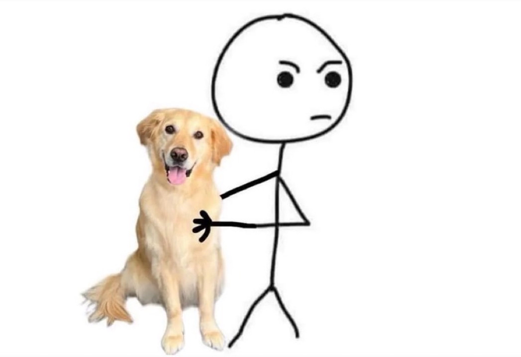 Yo defendiendo a mi perro de algo que sí hizo: