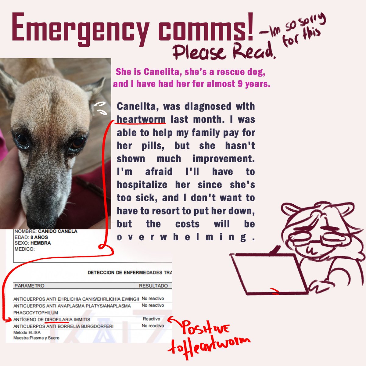 its_saiki's tweet image. Emergency comms! please read
Hello! im sorry for making this type of post, but im desperate rn Any rt its appreciated