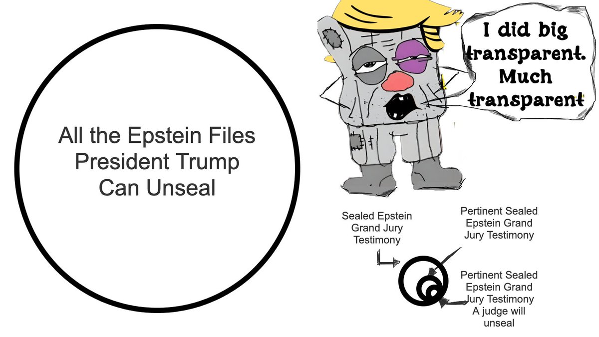 A visual representation. What Trump basically did was demand the release of the smallest sliver of Epstein Files

That Trump has no authority to release
