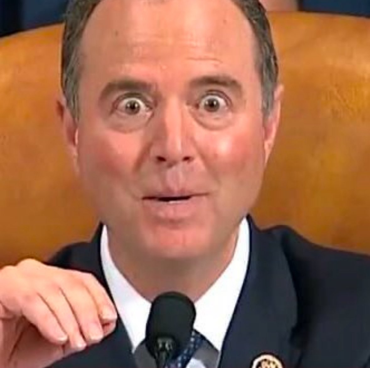 Describe Adam Schiff in 2 words or less