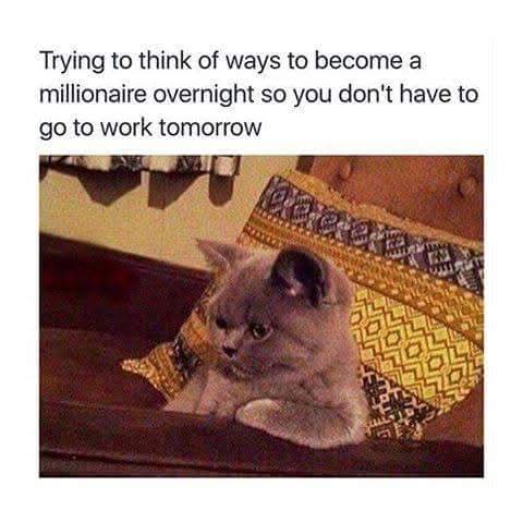 Stevie P (@stevononline) on Twitter photo 