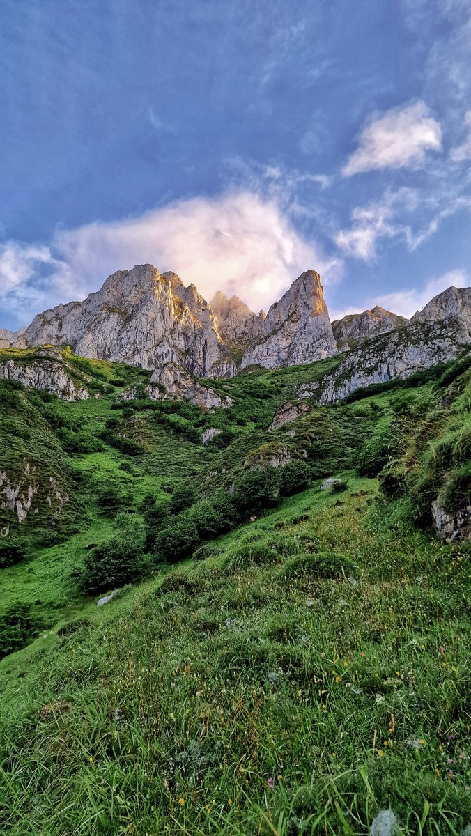 Ahora falta algunos seres mitológicos y tenemos la portada de un libro.