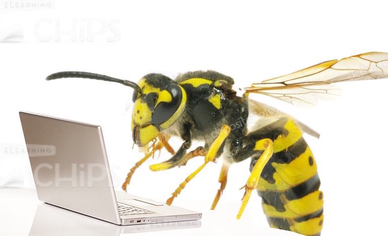 camiilorde⚜️🥀 (@camiilorde) on Twitter photo 