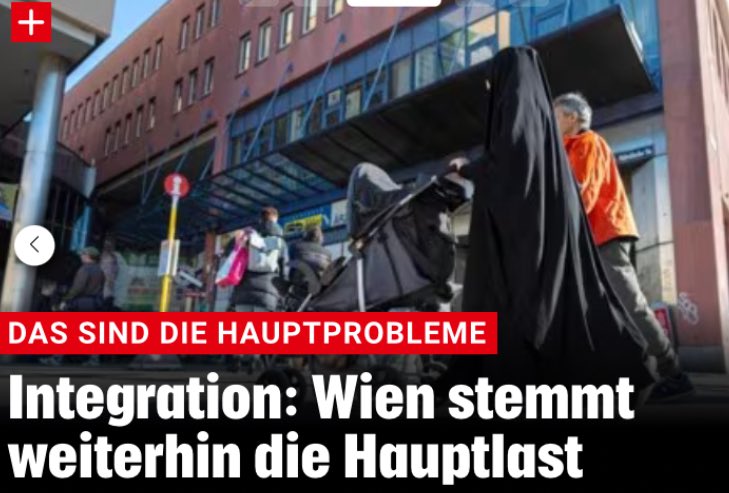 DerAlpenWolf's tweet image. Wien wird ein Migranten Magnet bleiben, dank BM Ludwig. 🫵