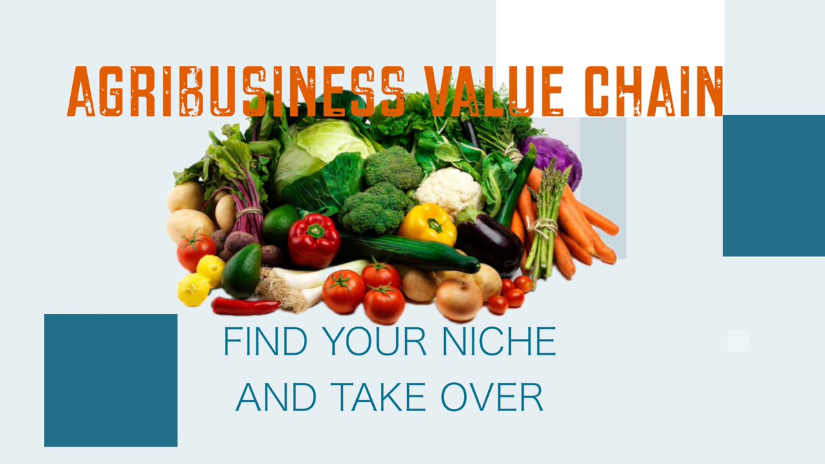 eyramax's tweet image. How To Identify And Dominate In Any Of The Value Chain In Agribusiness | #agribusiness #AgricultureSuccess
Video link: youtube.com/live/5E8BwGAI_…