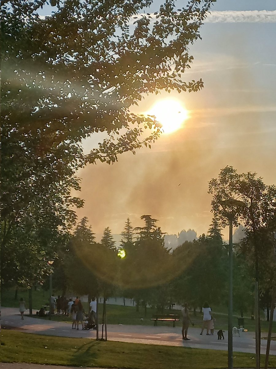 wolves_sheila's tweet photo. Incendio en Mejorada del Campo Madrid desde el Parque Norte https://t.co/30t7mxe2MQ