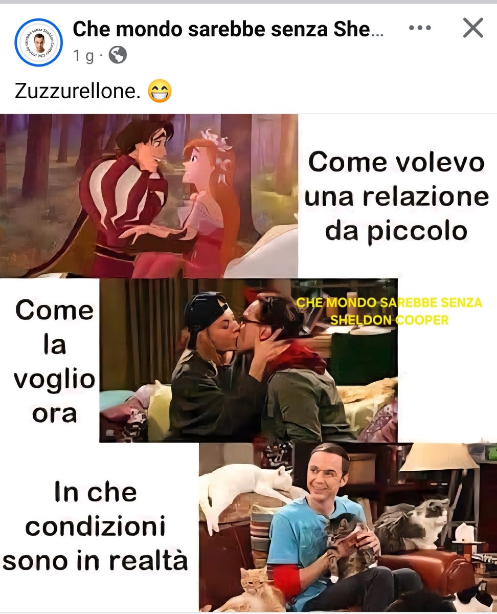 8MickeyMouse8's tweet photo. Impagabile Sheldon 😁😁 https://t.co/TxnIph7EK2