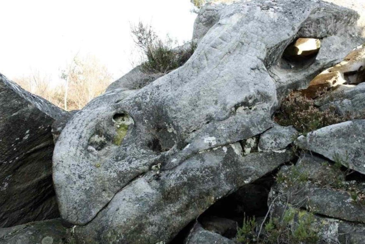 history_hacked's tweet image. It&apos;s just a rock! Don&apos;t worry about it.