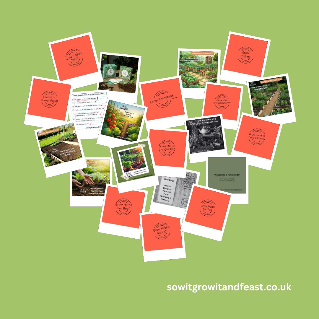 SowGrowFeast's tweet photo. Sow It Grow It and Feast !
https://t.co/sPSHz7cwya
#garden #gardening #growyourown #growyourownfood #seeds #vegetablegardener #begingardening #gardensupport #learntogarden https://t.co/68aD8BoEbR
