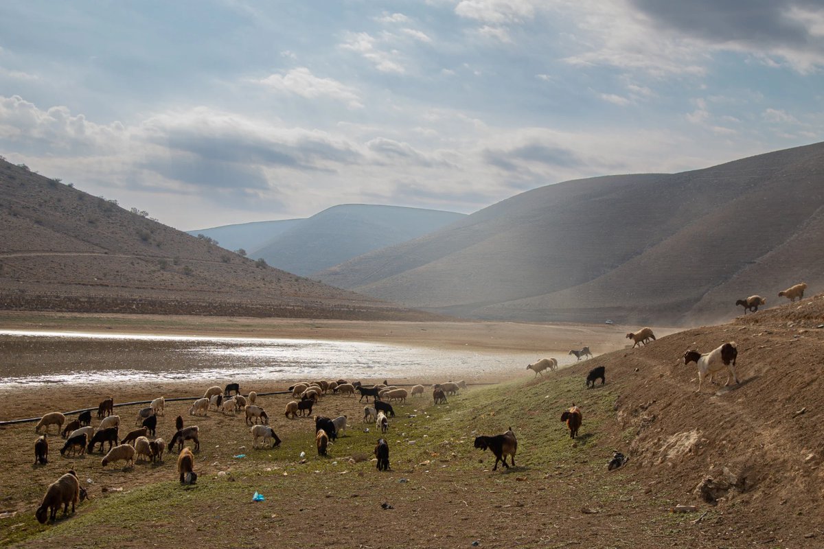 jordantimes's tweet image. Oxfam urges bold action as Jordan faces growing climate strain
Read more 🔗
jordantimes.com/news/local/oxf…