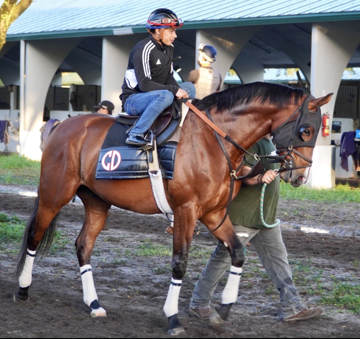 BelladonnaRaci1's tweet image. We have ZVEREV (Oscar Performance-Balance) in today’s 7th at Saratoga (4:35 ET, 8.5f on inner turf, 10/1 ML). @jose93_ortiz is up, breaking from pp 3 against seven foes.