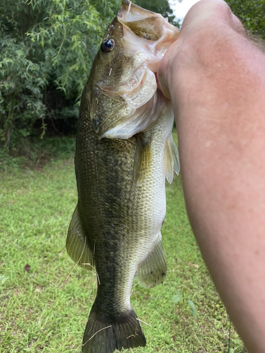 FishingSpotter's tweet image. One of is working in this 90° heat the other is napping