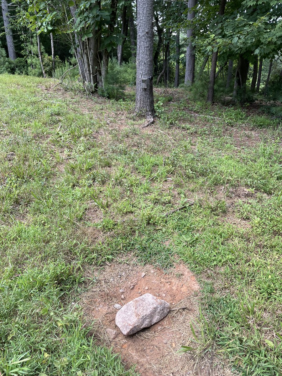 FishingSpotter's tweet image. One of is working in this 90° heat the other is napping