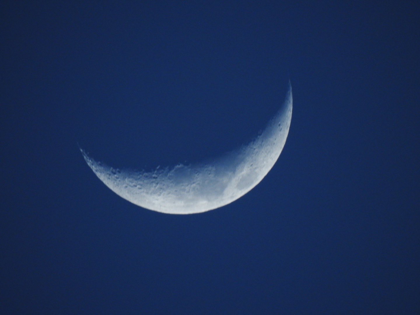 moon☪︎ 61BMomiT79L.jpg