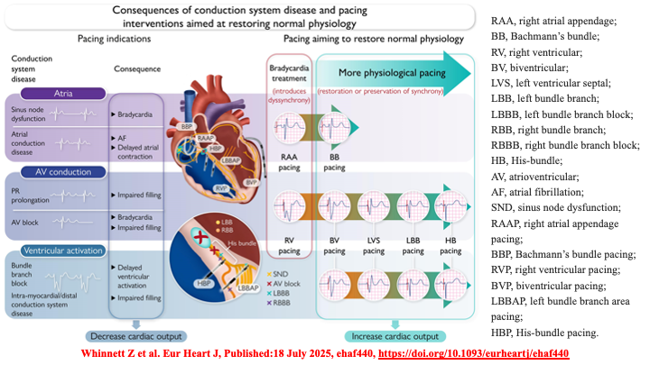 Raviele Antonio tweet media