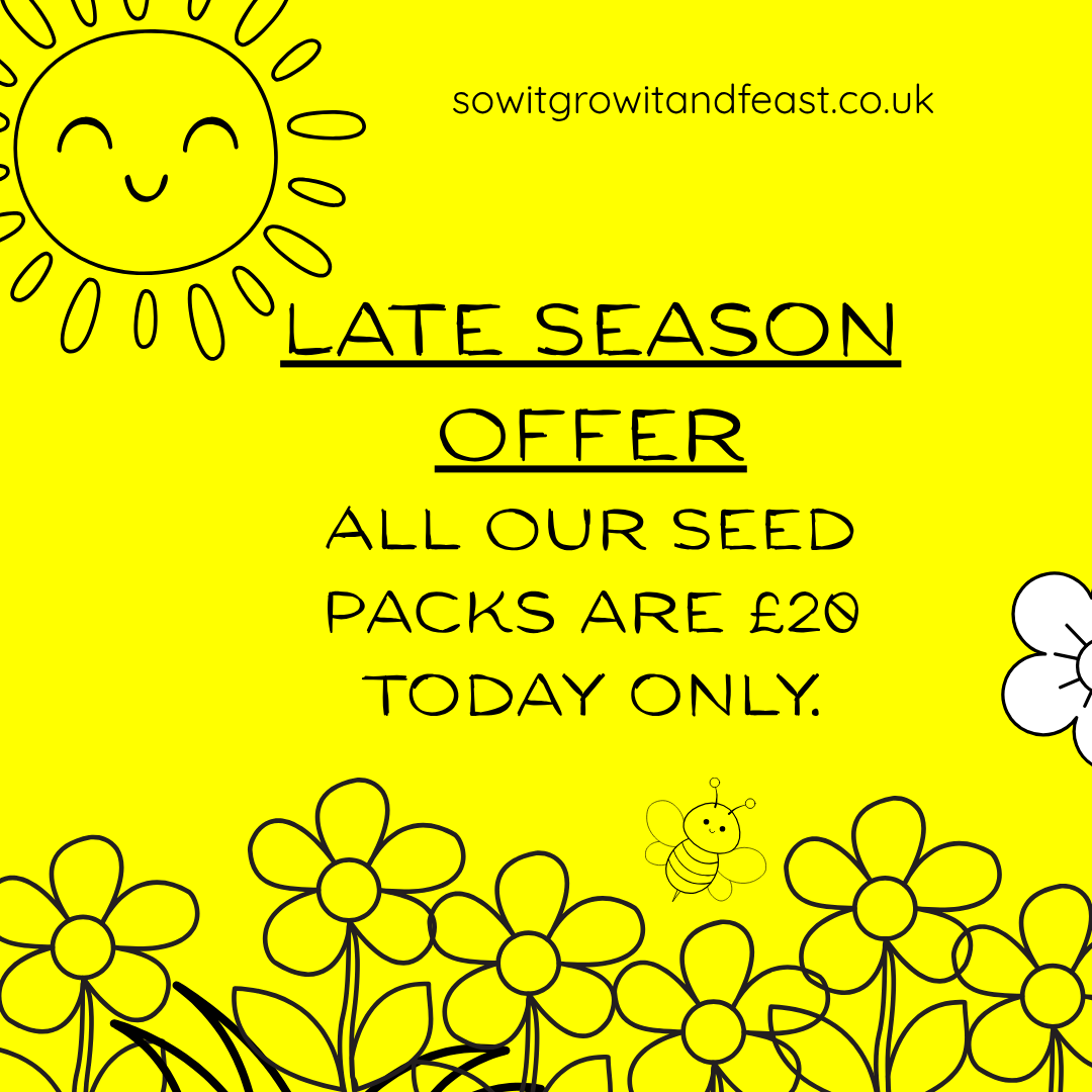 SowGrowFeast's tweet photo. Sow It Grow It and Feast !
https://t.co/sPSHz7cwya
#garden #gardening #growyourown #growyourownfood #seeds #vegetablegardener #begingardening #gardensupport #learntogarden https://t.co/wgiDNMN09h