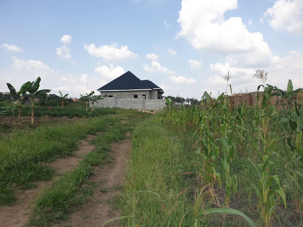 TrustPropertyUg's tweet photo. On Salé: New Estate 
       with #2plots available 
Location in #Busiika
 Selling Price #19m per plot
     located in an executive location just 
few proximity from tarmac. More details
 Call👆/WhatsApp 0754133332/
0777-555920 https://t.co/pv6zUyDs7P