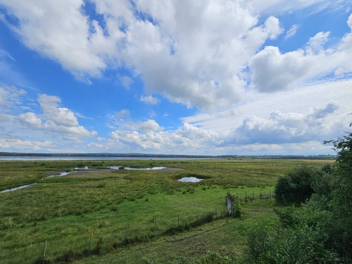 SorchaEastwood's tweet image. One of the most beautiful places in Lagan Valley and a real wee wildlife haven 🙏😍 ponies were absolutely gorgeous 😍