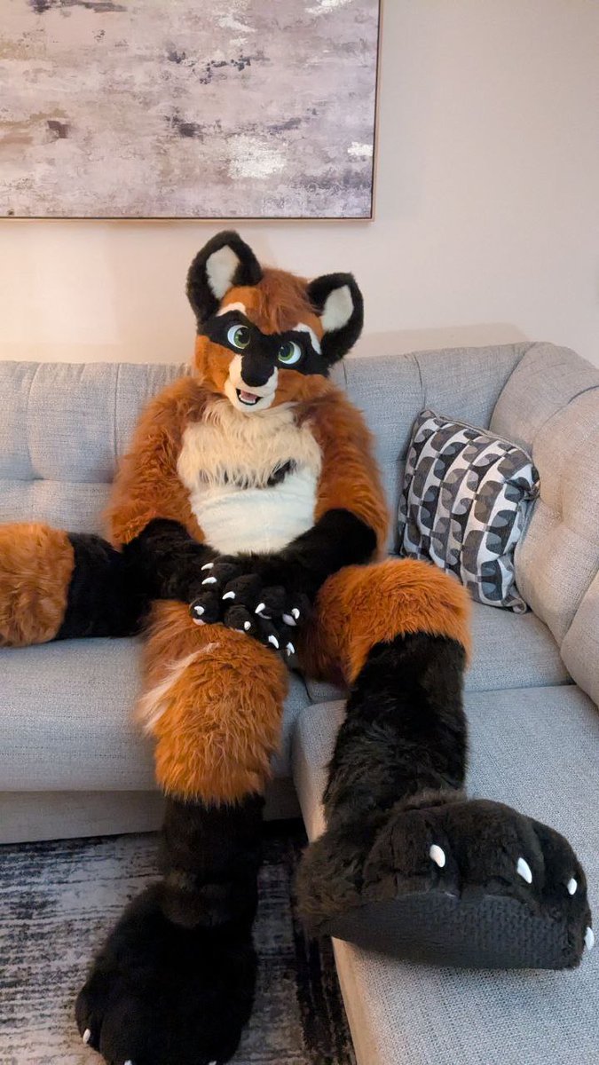 aurelius0u0's tweet image. see, I&apos;m allowed on the couch!