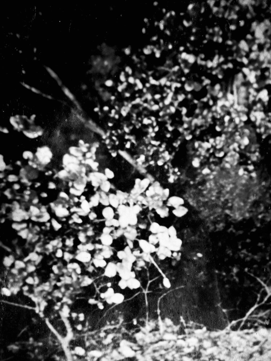 cosmos
#desert #nature #bnw #monochrome