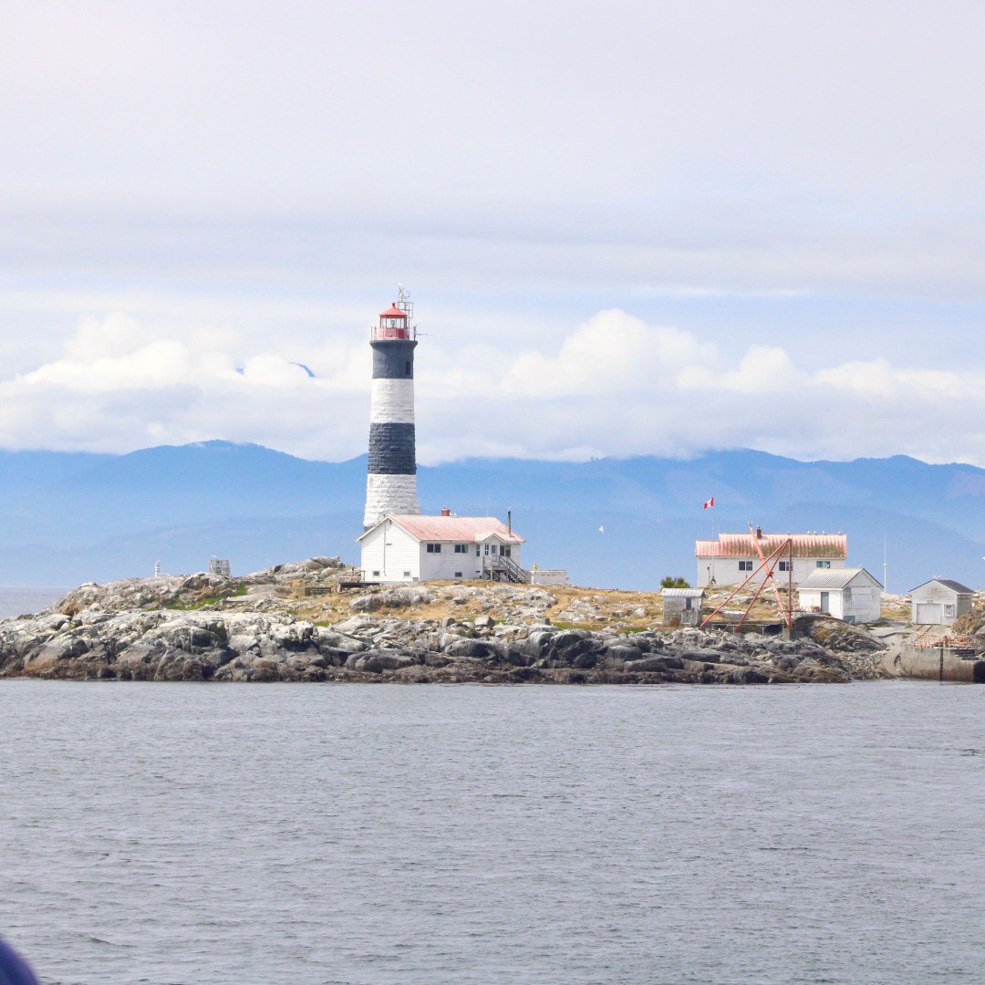Orca Spirit (@orcaspiritvic) on Twitter photo This #SustainabilitySunday, we’re reminded that nature doesn’t need us but we need it🌿🌊Choosing reusable gear, supporting conservation, or simply treading lightly in wild spaces, small actions add up💚
📸: Liam Hubbert
<a href="/victoriavisitor/">Destination Greater Victoria</a> @tvictweets
#explorebc #explorevictoria This #SustainabilitySunday, we’re reminded that nature doesn’t need us but we need it🌿🌊Choosing reusable gear, supporting conservation, or simply treading lightly in wild spaces, small actions add up💚
📸: Liam Hubbert
<a href="/victoriavisitor/">Destination Greater Victoria</a> @tvictweets
#explorebc #explorevictoria