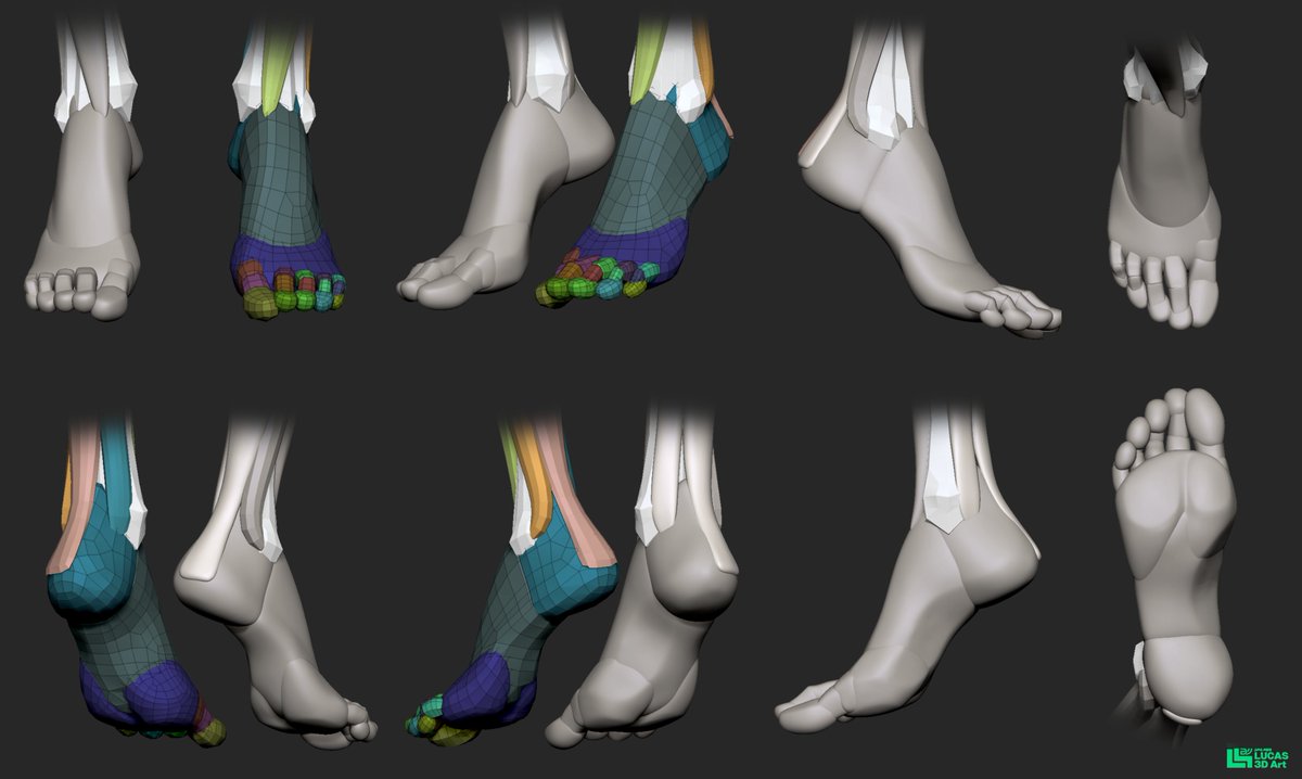I often model shoes at work but rarely the feet themselves. Turns out sculpting feet is really tricky — each toe has its own direction, and getting elegant shapes takes a lot of iteration and refinement.