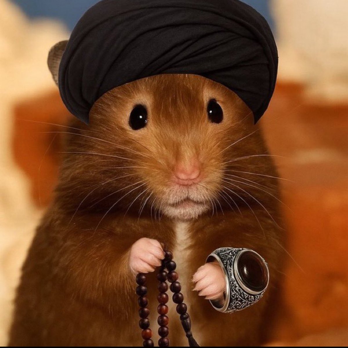 memaaaaar's tweet image. آب نداریم ، برق نداریم این اگه #شکست نیست پس چیه ؟!
مهندس رسیدی به نوک قله، میبینی ؟وقت سقوط
#موشعلی