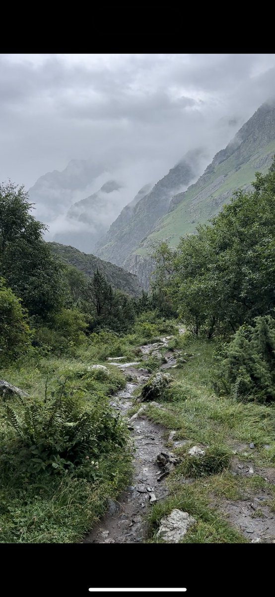 ساري tweet media