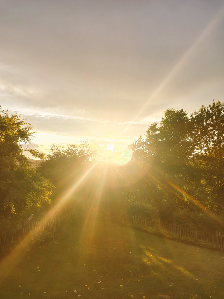 Walrathis's tweet image. There&apos;s always light..... somewhere 🧡