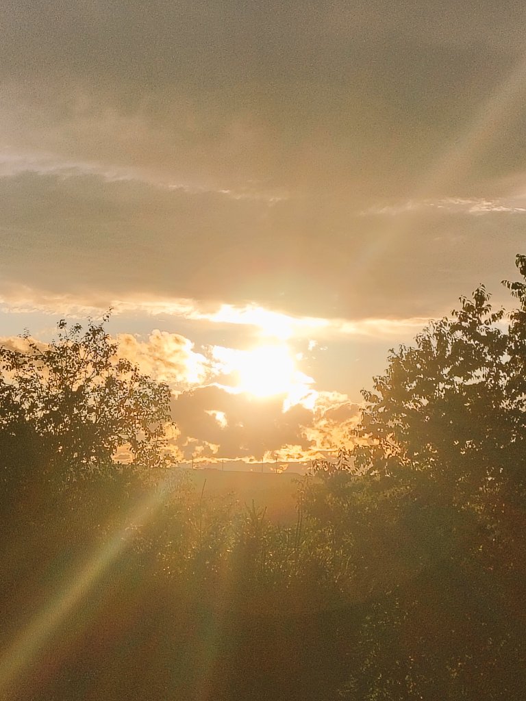 Walrathis's tweet image. There&apos;s always light..... somewhere 🧡