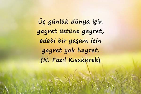 Saadet (@saadetokk) on Twitter photo 