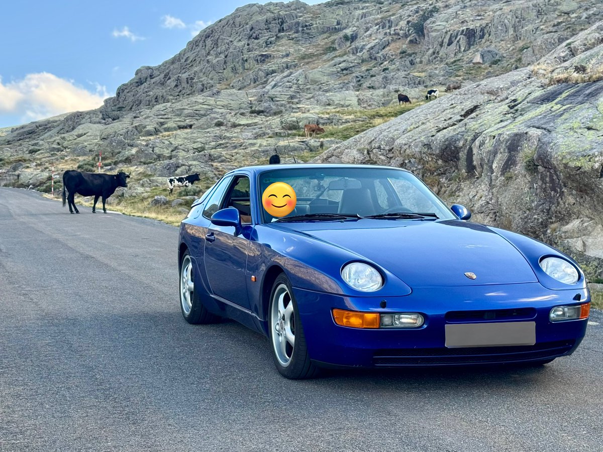 carpasol's tweet image. Hoy ha tocado Sierra de Gredos!!