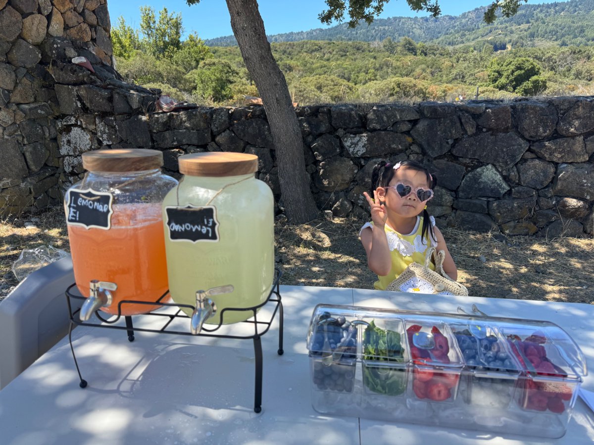 blader's tweet image. excited to announce my newest seed investment: lemonaidly.
the founder is young but extremely charismatic and relentlessly resourceful.
it’s got electrolytes!