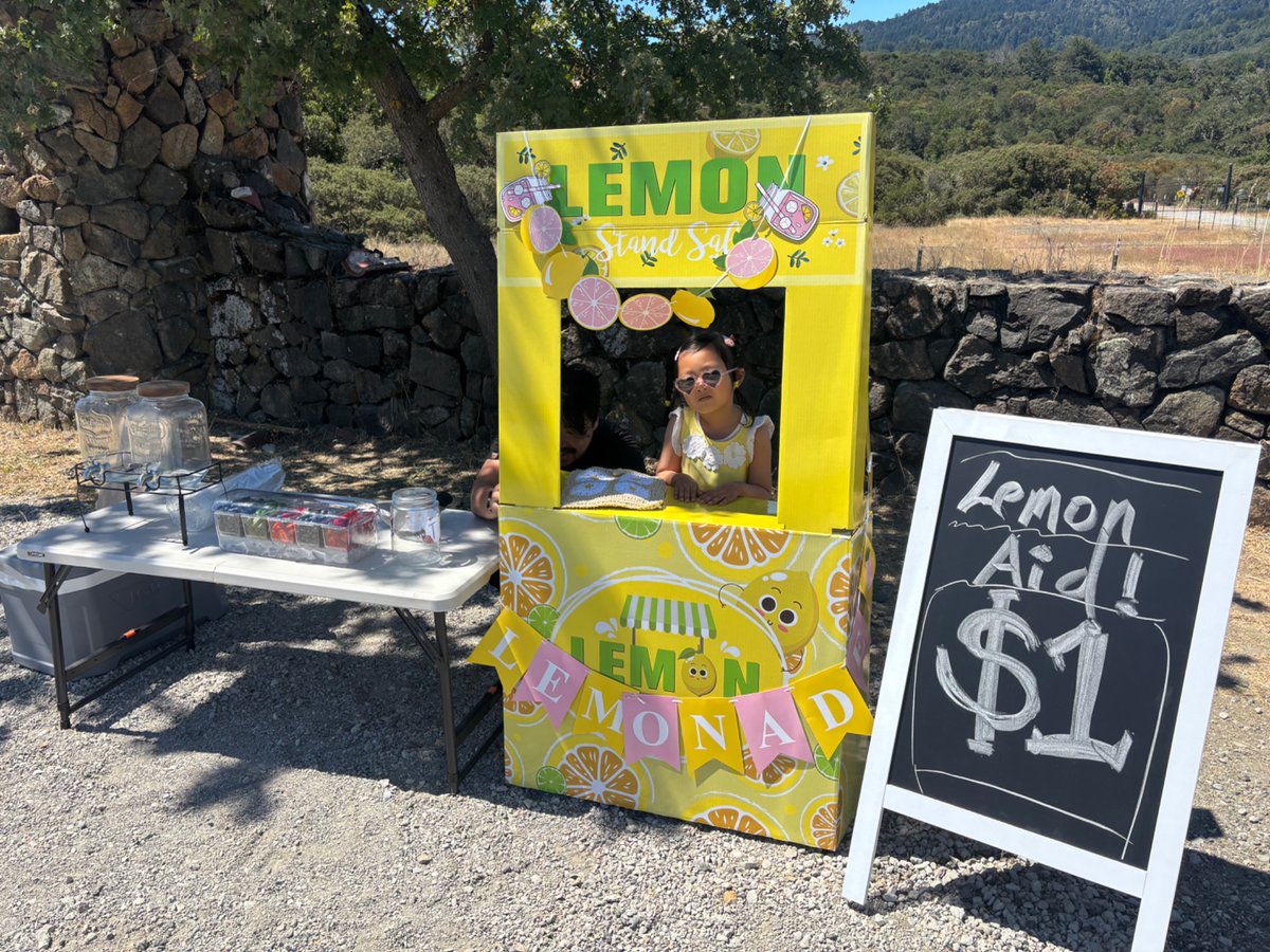 blader's tweet image. excited to announce my newest seed investment: lemonaidly.
the founder is young but extremely charismatic and relentlessly resourceful.
it’s got electrolytes!