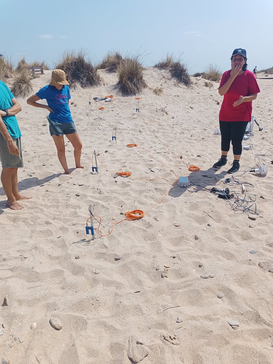 @YerayCastillo tweet media