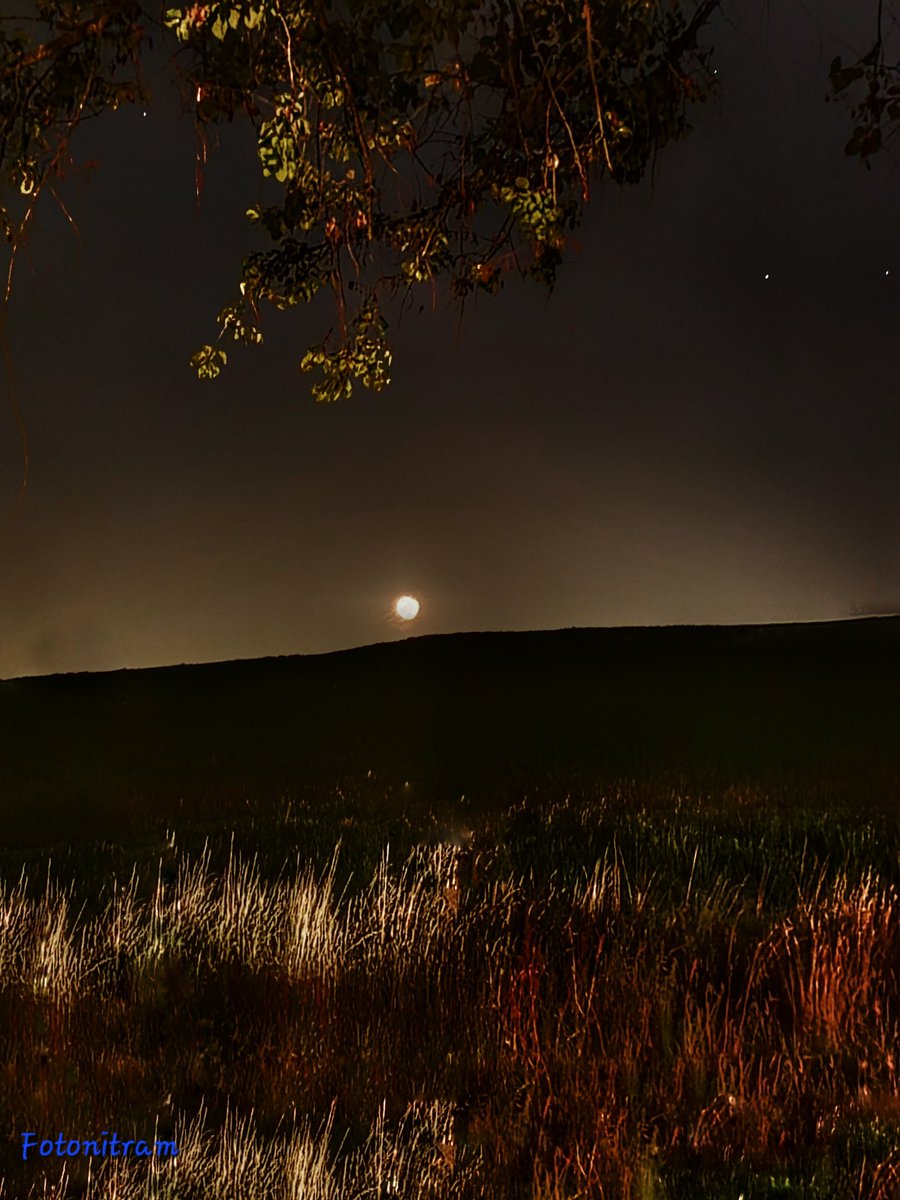 Guten Nacht meine lieben Freunde, habe eine angenehme Nachtruhe und einen schönen Übergang in die neue Woche, Gruß nitram😎🍀🕊✨️💫🌛🙋‍♂️