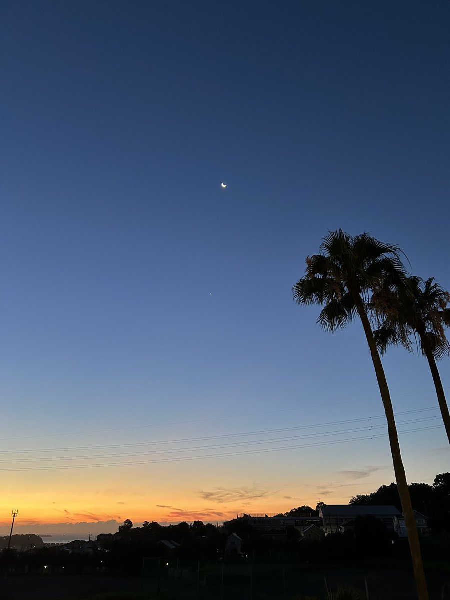 This is the sky before sunrise this morning. The horizon was slightly cloudy, but I was glad to see the beautiful gradation.😄