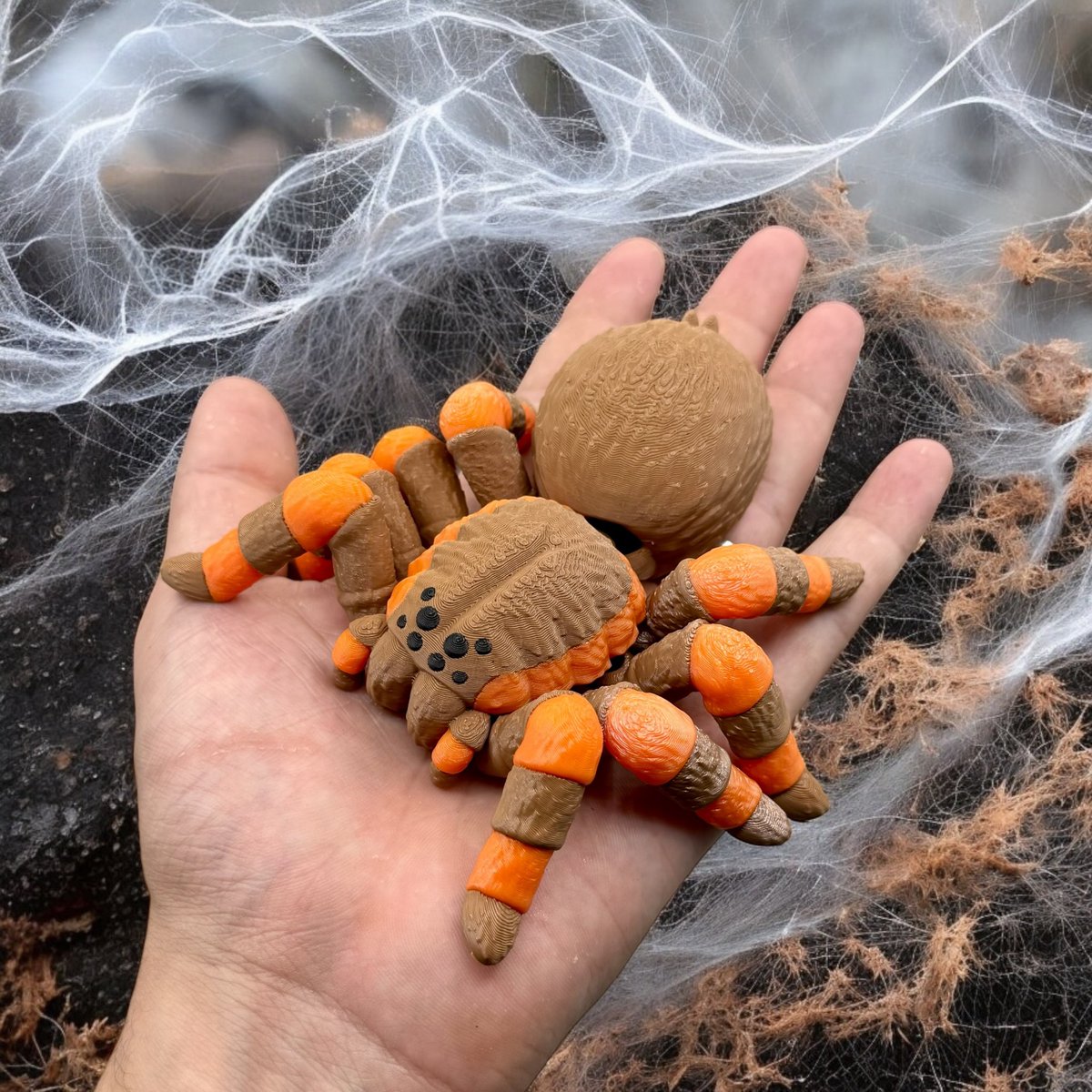 tacticalkaoz3D's tweet image. Mexican Red Knee Tarantula Available Free: than.gs/m/1383332