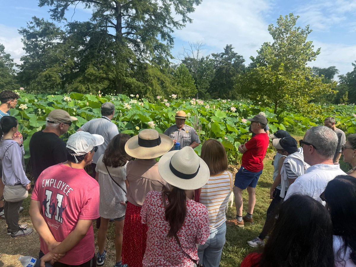 Major fist bump to the hard working crews at the DC <a href="/KenAqGardens/">Friends of Kenilworth Aquatic Gardens</a> <a href="/NatlParkServGPS/">NationalParkService</a>! They never fail to come through the grounds are always so serene thereby allowing those of us Zen/meditating types to just chill and appreciate the atmosphere. #MentalHealth