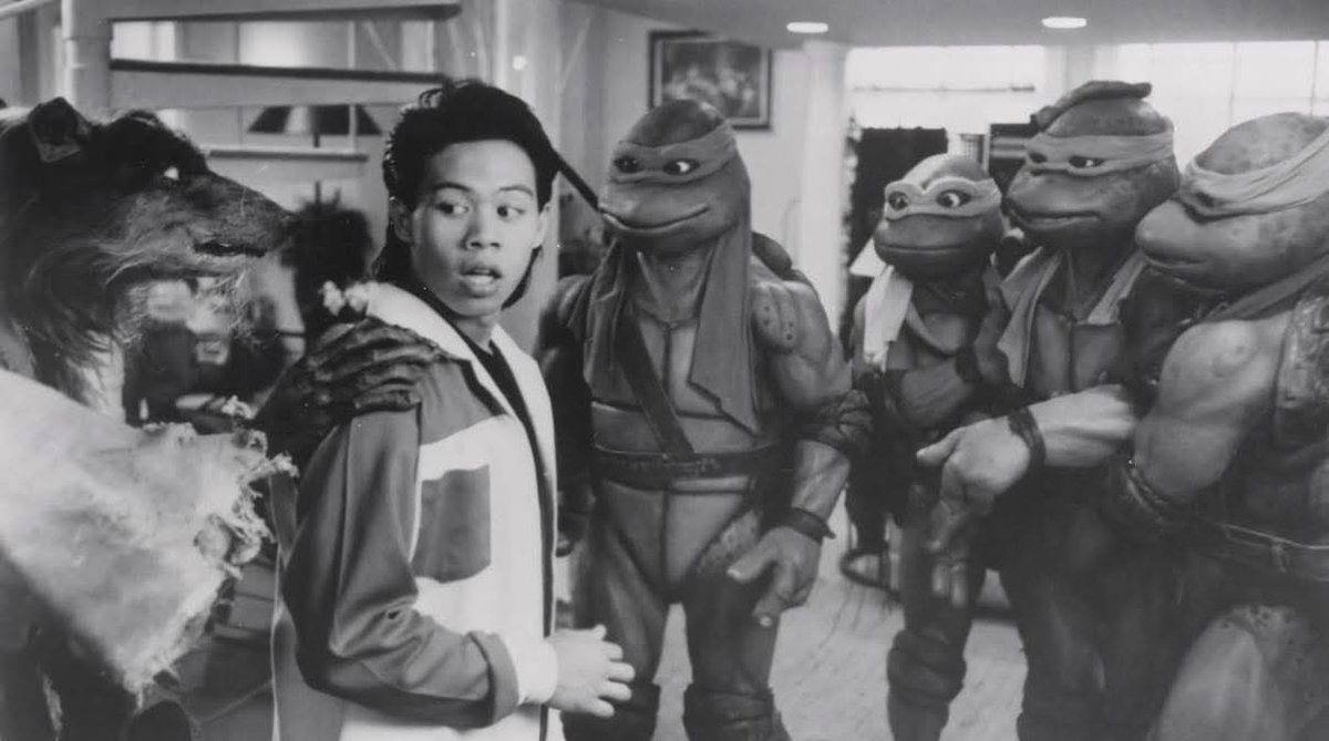 Turtle_Lair (@ninjaturtlelair) on Twitter photo 