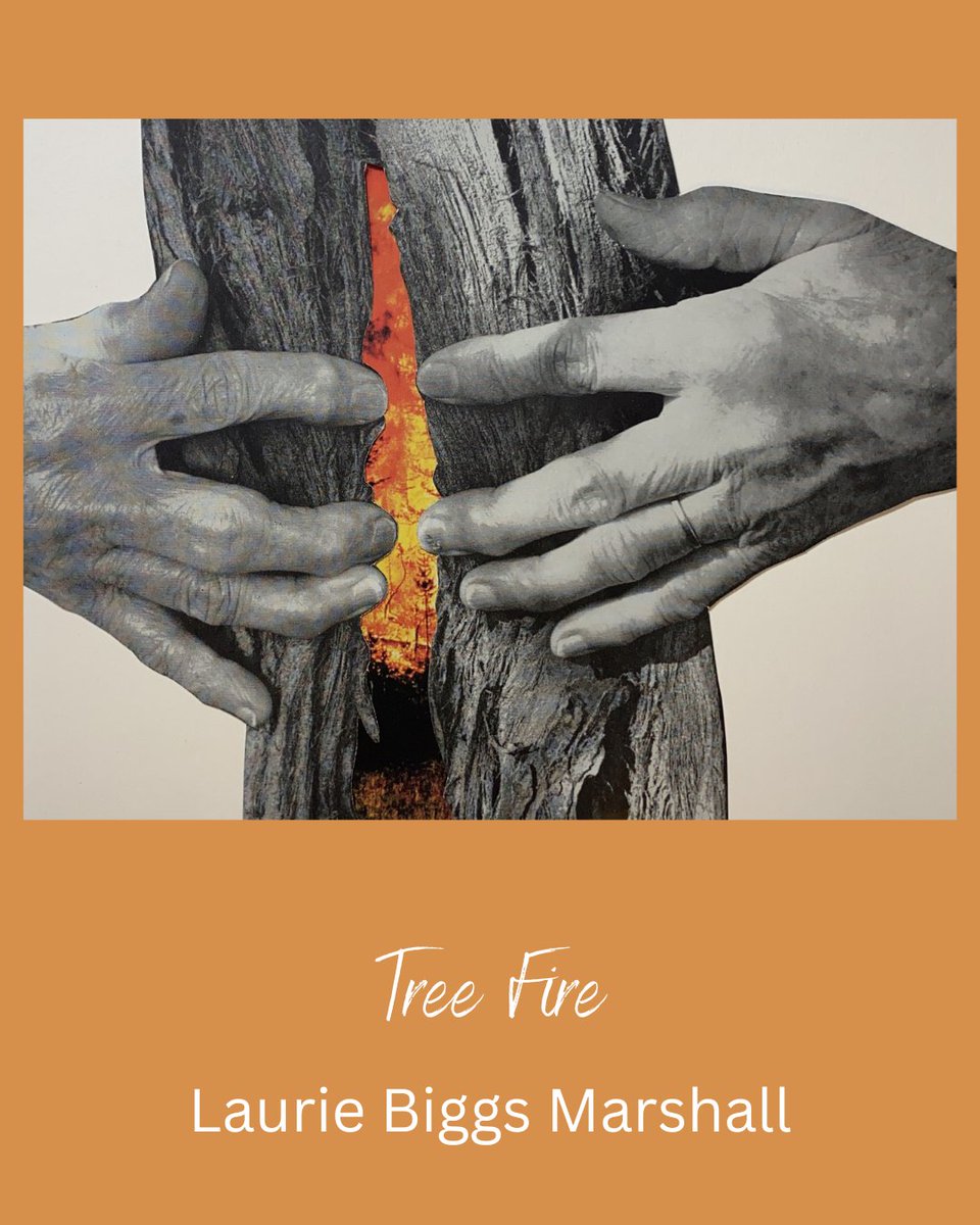 What's on the inside? It could be fire. Check out this amazing collage work from Laurie Biggs Marshall in Issue 4! 
asteralesjournal.com/1-3-johnson-ma…