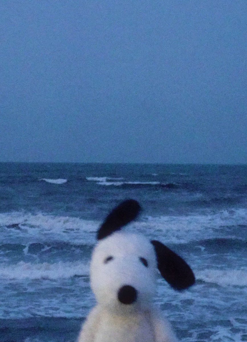 dhmxn_punit's tweet image. gn