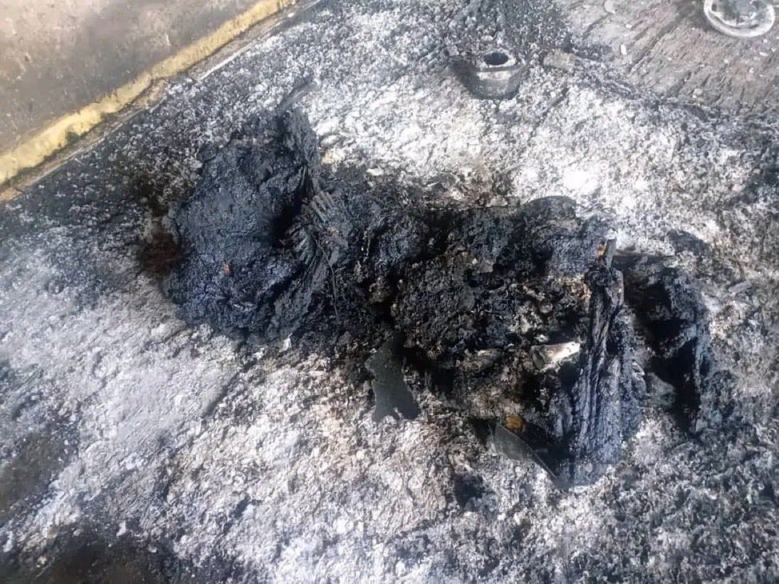 🔞 مدني سوري احرقته عصابات حكمت الهجري حياً وهو مقيد اليدين الى الخلف في #السويداء