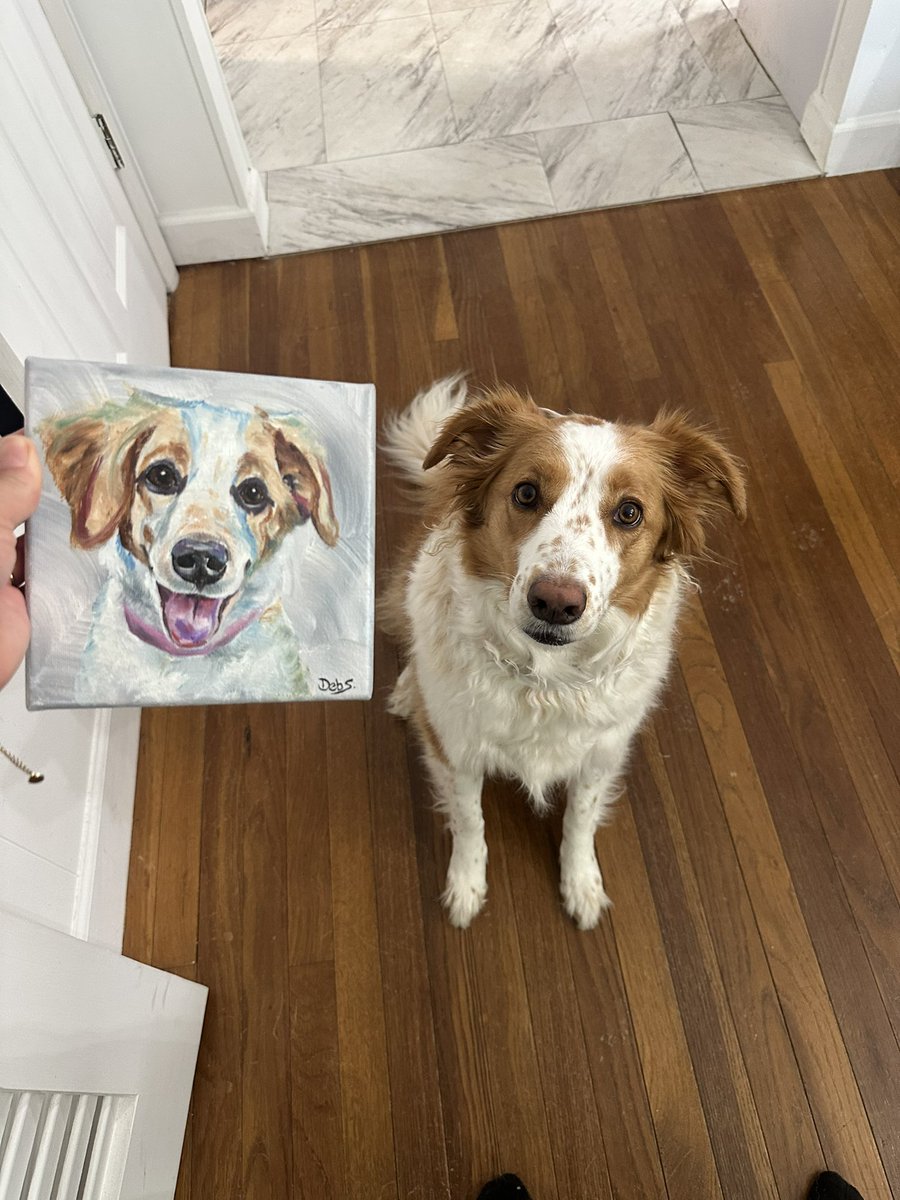 maSKCenzie's tweet photo. @Chewy I love you for this!!! We are feeling like the luckiest girls ever after opening this!!! Thank you!! 🩷 https://t.co/9VNC3MNgWi